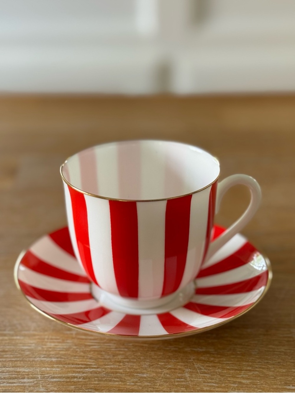 Imperial Porcelain St. Petersburg "Yes & No" Red Stripe Cup & Saucer |Lomonosov